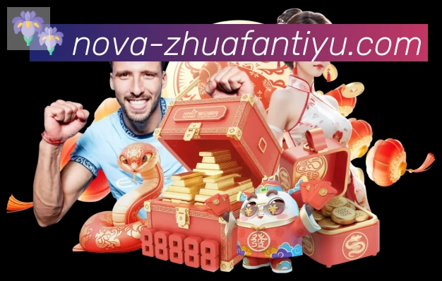 奖项证书